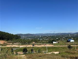 Đất nghỉ dưỡng view đồi thông chỉ 2,4 tỷ, cách đà lạt 27km khí hậu mát mẻ quanh năm