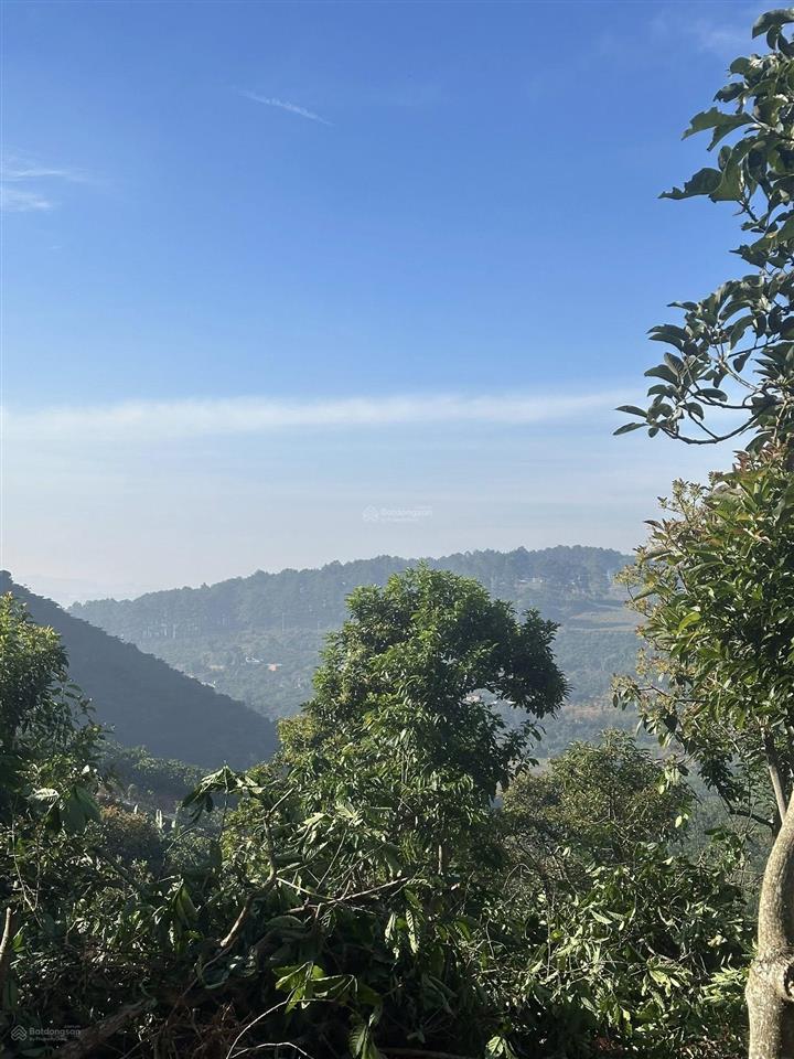 1458m2 đất mê linh view thung lũng gần đà lạt