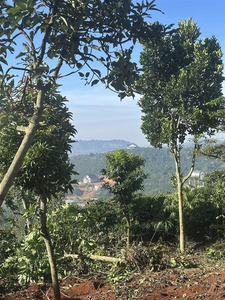 1458m2 đất mê linh view thung lũng gần đà lạt