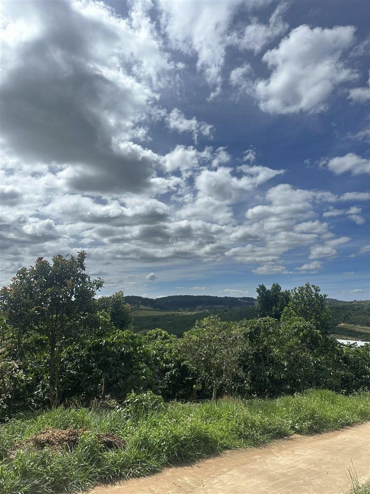 1458m2 đất mê linh view thung lũng gần đà lạt