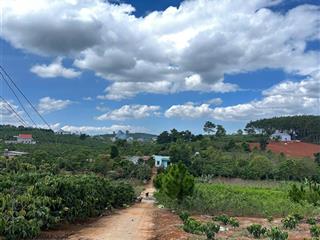 1200m2 đất nam ban 24m mặt đường