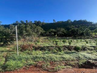 Đất thị trấn nam ban tổng diện tích trong sổ 5919m2, bên ngoài 6472m2