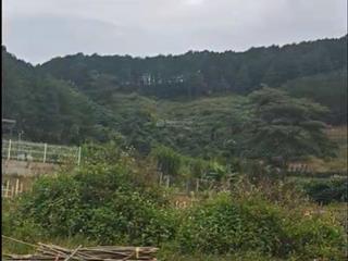 Lô đất giá rẻ nam ban, siêu hợp lý