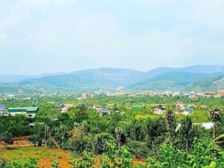 Anh chị cần tìm đất ở xã nam ban cách đà lạt 30km quay đầu thì  em ạ, em còn nhiều nguồn