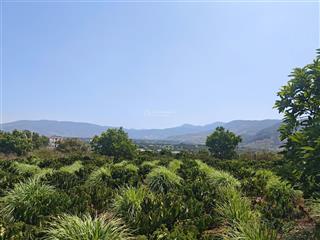 Đất xã gia lâm cũ, cách sân bay 20km, cách đà lạt 30km.