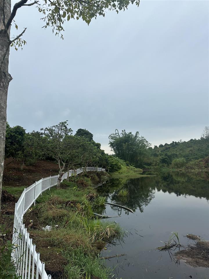 Bán lô đất view hồ  giáp hồ đẹp tại ven đà lạt