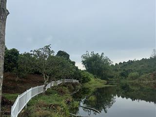 Bán lô đất view hồ  giáp hồ đẹp tại ven đà lạt