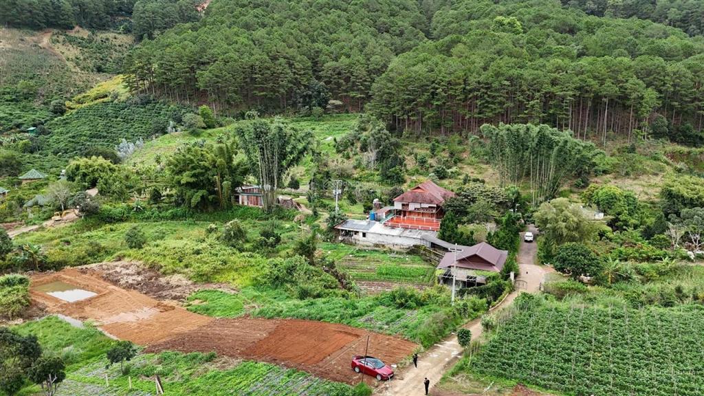 1000m2 đất phường cam ly đà lạt, giá rẻ view đẹp, gần đường nhựa chính