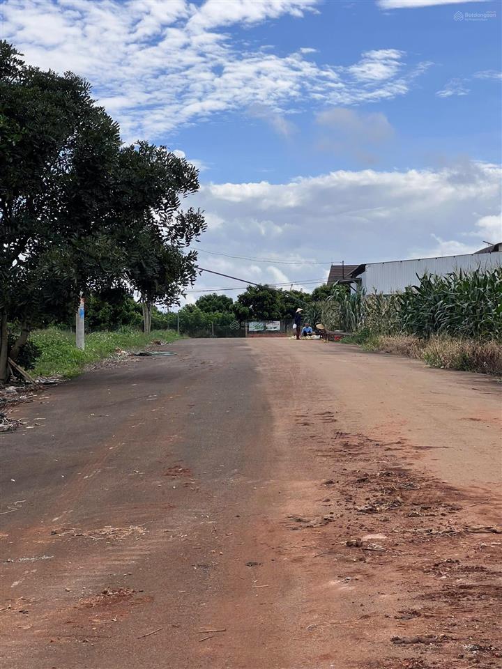 Siêu phẩm nam ban view 360, cách đà lạt 25km