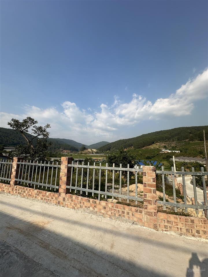 Đất đà lạt view đồi thông 1300m2 đã có 1000m đất ở đô thị