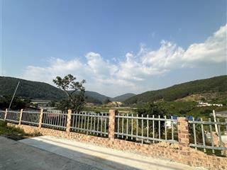 Đất đà lạt view đồi thông 1300m2 đã có 1000m đất ở đô thị