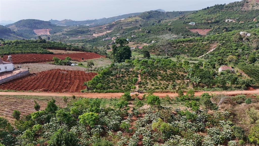 16.000m2 94m mặt đường 850m2 thổ cư