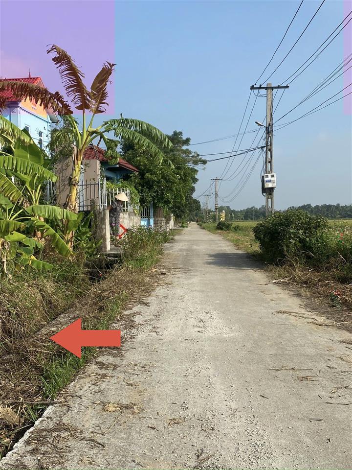 Bán đất chính chủ xã yên trung  ý yên  nam định. full thổ cư 161m2