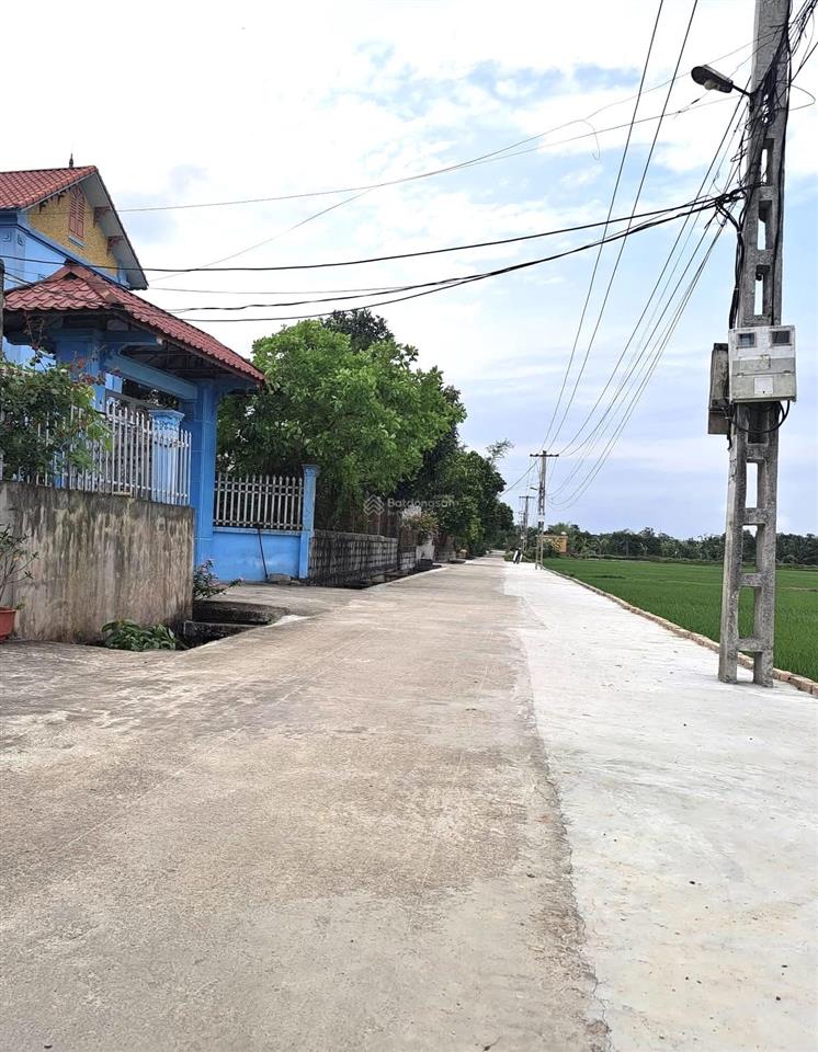 Bán đất xã yên trung  ý yên  nam định. full thổ cư 161m2