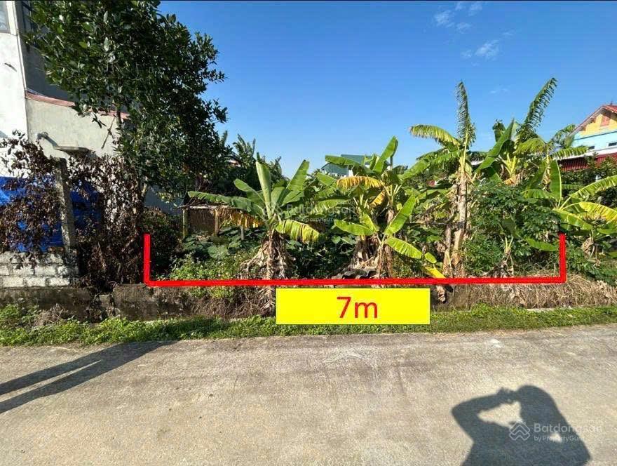 Bán đất xã yên trung  ý yên  nam định. full thổ cư 161m2
