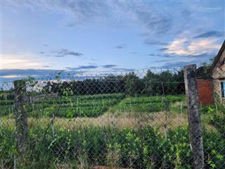 Bán đất mặt tiền đường võ trường toản sơn định chợ lách bến tre, vị trí đẹp, thuận tiện, cao ráo