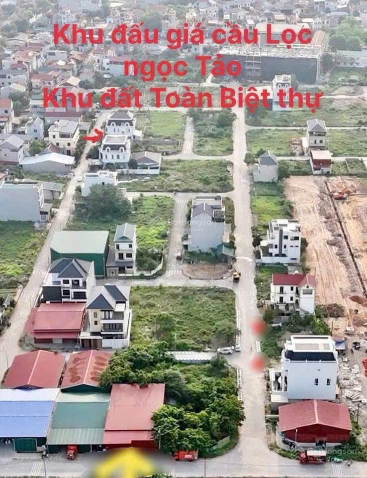 Bán đất đấu giá 232m2  cầu lọc  ngọc tảo  phúc thọ  view thẳng vườn hoa trung tâm