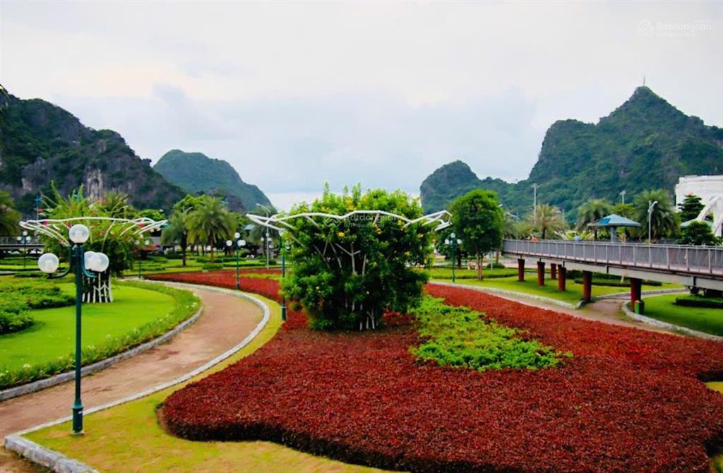 Cần tiền gấp bán nhanh ô đất biệt thự gần công viên lán bè, hạ long