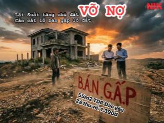 Chính chủ bán gấp lô góc f0 ghép kín tại đào yêu hải phòng giá chỉ 1,xxxtỷ