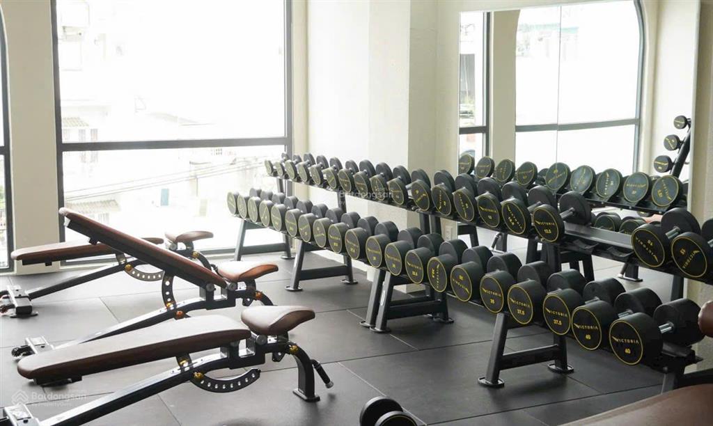 Hạ giá 30% ! bán gấp tòa nhà 9 lầu thang máy mt nguyễn công trứ, q1 4x18 m hđt 100 tr giá 31,5 tỷ
