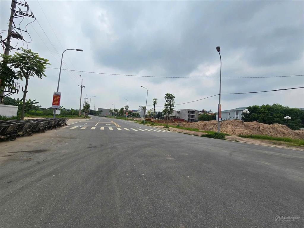 Bán đất đấu giá dược thượng, tiên dược
