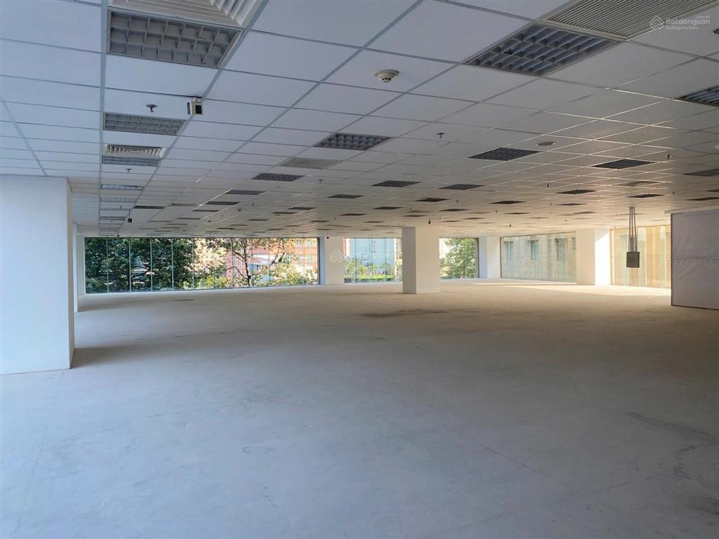 Hot! building hai bà trưng  gần nhà thờ đức bà, ưu đãi 40tr, dt 150m2! tel 0919 167 ***