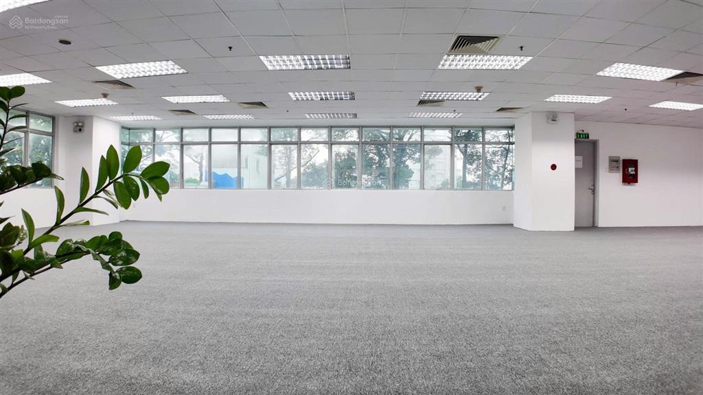 Cơ hội hiếm! vp 100m2 cao cấp q1 bùi thị xuân gần phố tây bùi viện giá tốt 39tr số lượng có hạn
