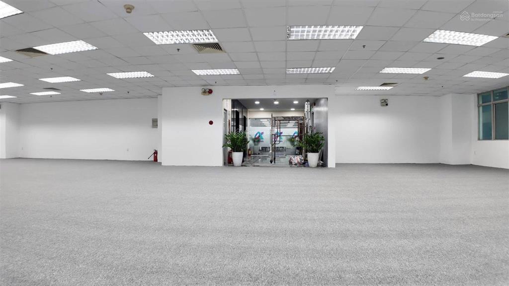 Cơ hội hiếm! vp 100m2 cao cấp q1 bùi thị xuân gần phố tây bùi viện giá tốt 39tr số lượng có hạn
