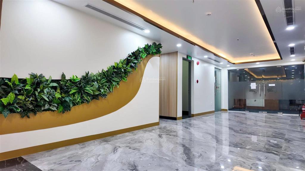 Cơ hội hiếm! vp 100m2 cao cấp q1 bùi thị xuân gần phố tây bùi viện giá tốt 39tr số lượng có hạn