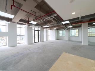 Vp vip siêu đẹp sương nguyệt ánh, q1 gần chợ bến thành, dt từ 100m2, giá tốt chỉ 89tr/th/690m2