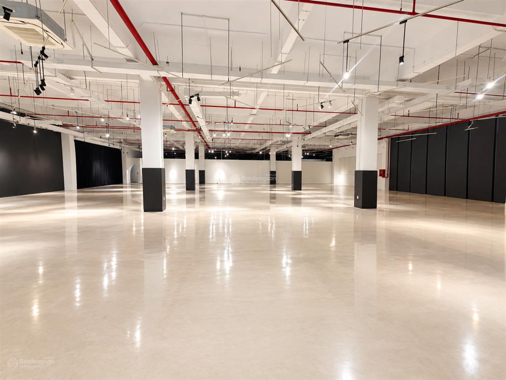 Building đẹp tân bình, gần sân bay vừa mới trống dt 180m2 39tr all in