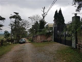 Chính chủ muốn bán mảnh đất 1600m2, sổ đỏ cạnh hồ đồng chanh
