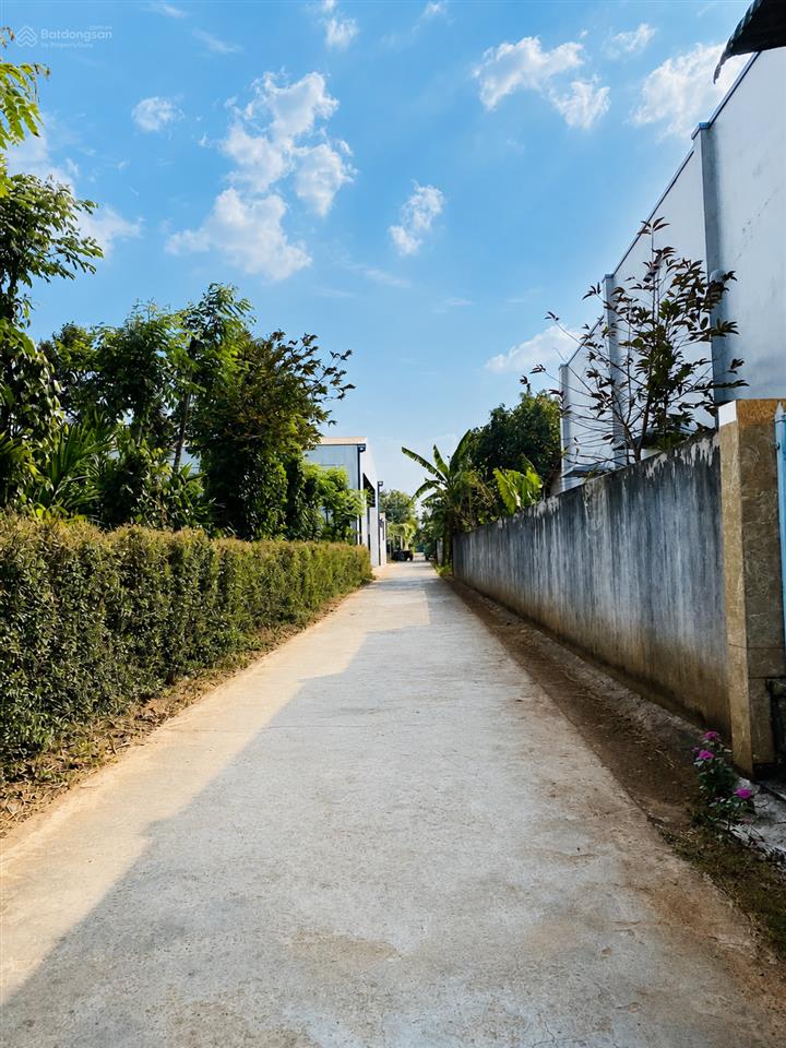 Cho thuê kho xưởng và văn phòng 900m2 tại tổ dân phố 2 cư ebur, 20 triệu vnd