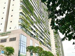 Bán ch diamond lotus phúc khang, 6,9 tỷ, 92m2, 3pn, 2wc, đông nam, q8, hcm