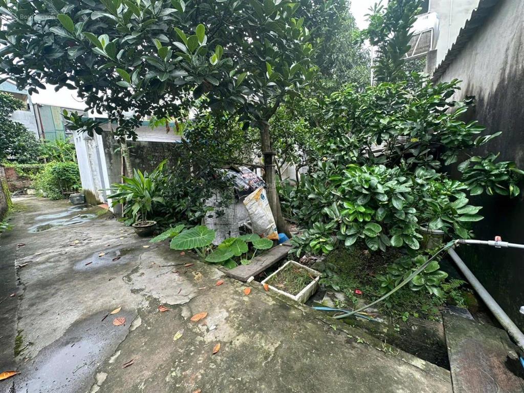 Bán đất tại xóm đoài, việt hùng, 2,2 tỷ, 52 m2, giá ưu đãi