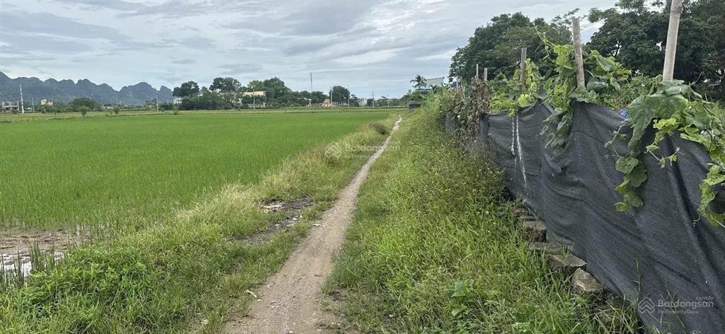 Chính chủ bán đất tuy lai, mỹ đức 64m2 giá 1,25 tỷ đất vuông vắn, dễ xây dựng
