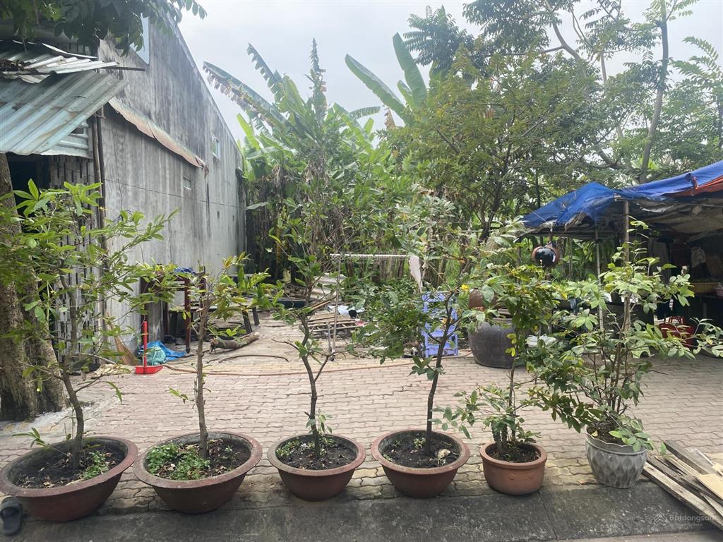 Đất nền sổ đỏ. khu dân cư thành hiếu. có sổ pháp lý chỉnh chu. công chứng ngay. cam kêt đúng giá