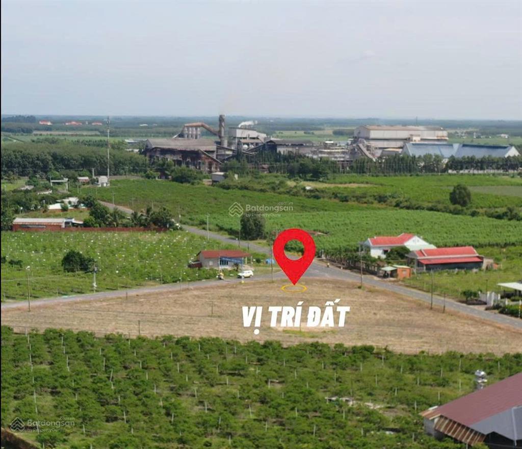 Chính chủ cần bán gấp quỹ đất vàng đối diện kcn tân phú tân châu, tây ninh, sẵn sổ đỏ