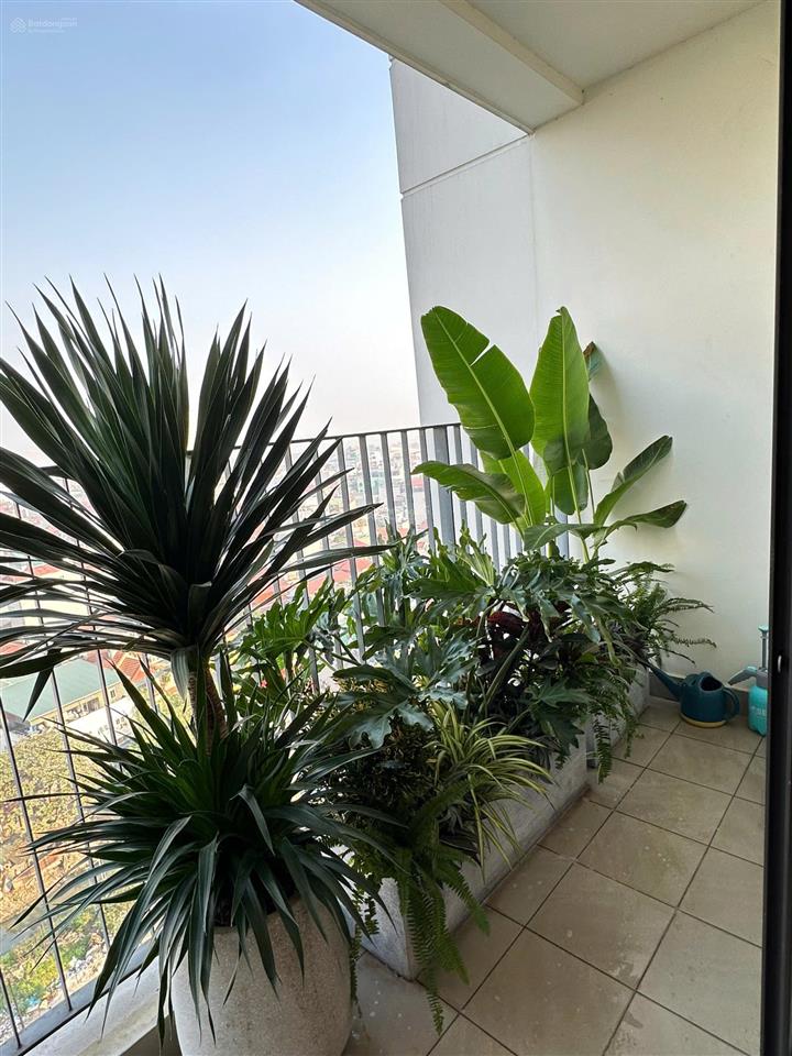 Quỹ căn bán giá tốt, đẹp nhất kosmo 161 xuân la tây hồ diện tích 75m2342m2 t1/2026