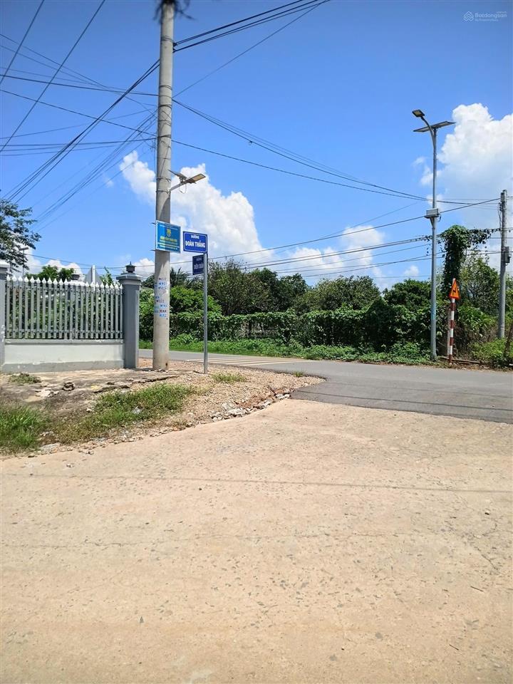 Chủ cắt lỗ 50 triệu, thu hồi vốn, chỉ 370 triệu cho 1115 m2 đất cây lâu năm diên lâm diên khánh