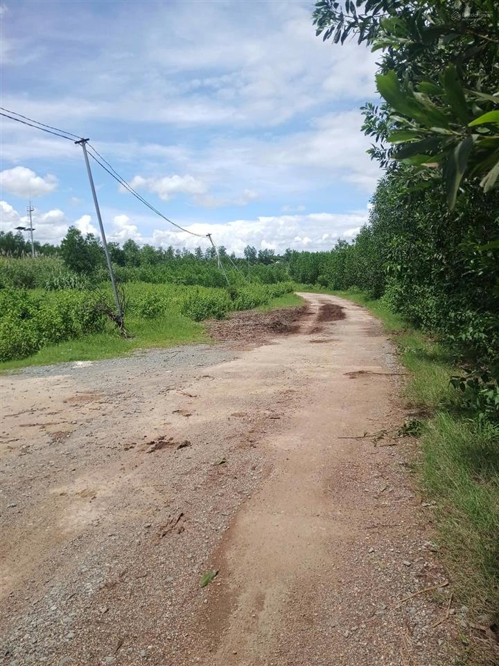 Chủ cắt lỗ 50 triệu, thu hồi vốn, chỉ 370 triệu cho 1115 m2 đất cây lâu năm diên lâm diên khánh