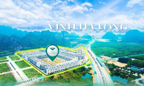 Bắt sóng chung cư mua ngay kẻo lỡ