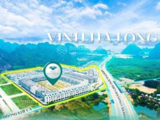 Bắt sóng chung cư mua ngay kẻo lỡ