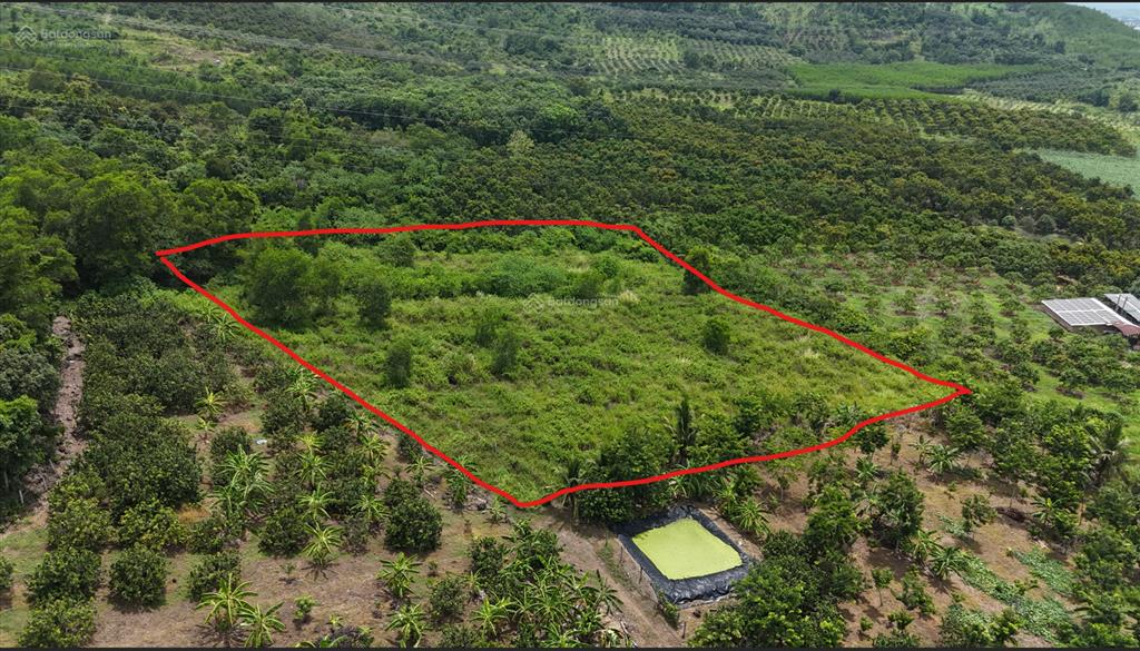 Bán đất 10.000m² gần ql27c giảm giá sâu, phu hợp trang trại, nghỉ dưỡng