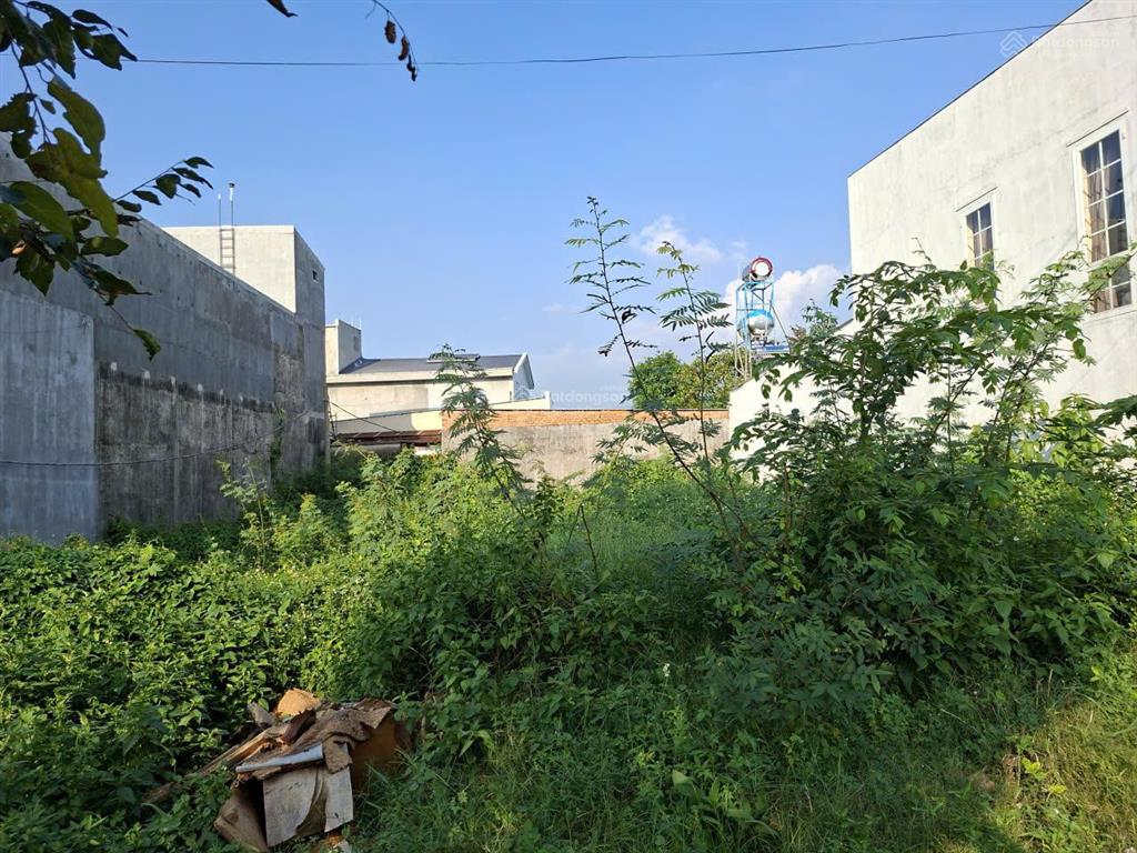 Cần sang nhượng gấp toàn bộ diện tích đất mtđ đt 720  gia huynh tánh linh bình thuận