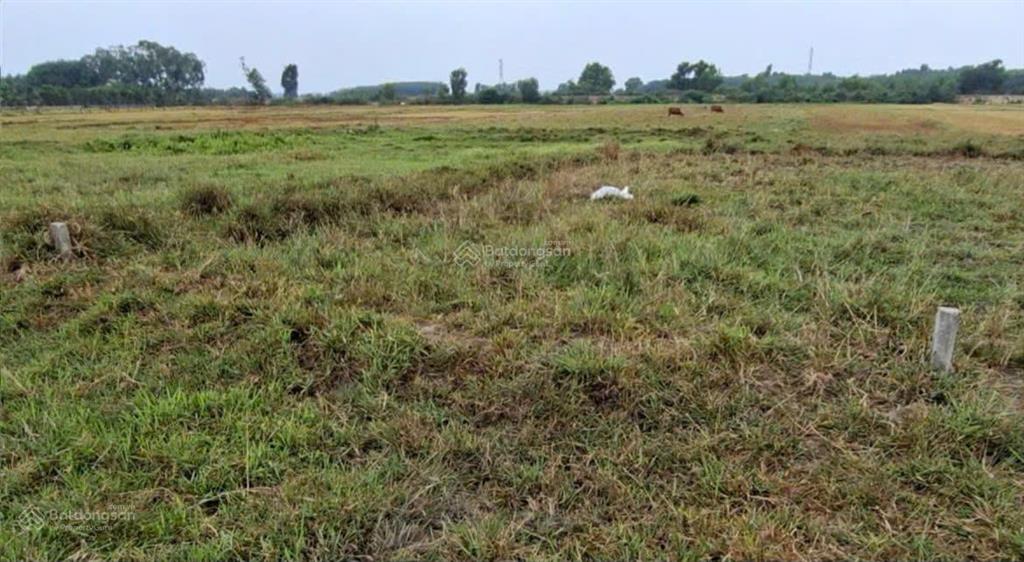 Chính chủ bán gấp lô đất tại mtđ điện biên phủ thị trấn lạc tánh, huyện tánh linh, tỉnh bình thuận