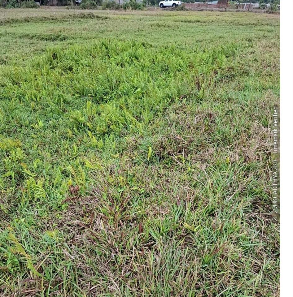 Chính chủ bán gấp lô đất tại mtđ điện biên phủ thị trấn lạc tánh, huyện tánh linh, tỉnh bình thuận