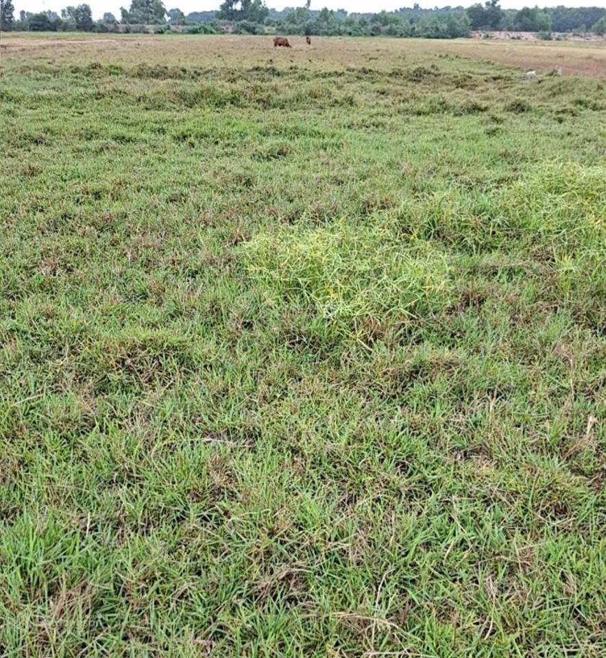 Sang nhượng đất tại mặt tiền đường điện biên phủ, xã tánh linh, tỉnh lâm đồng