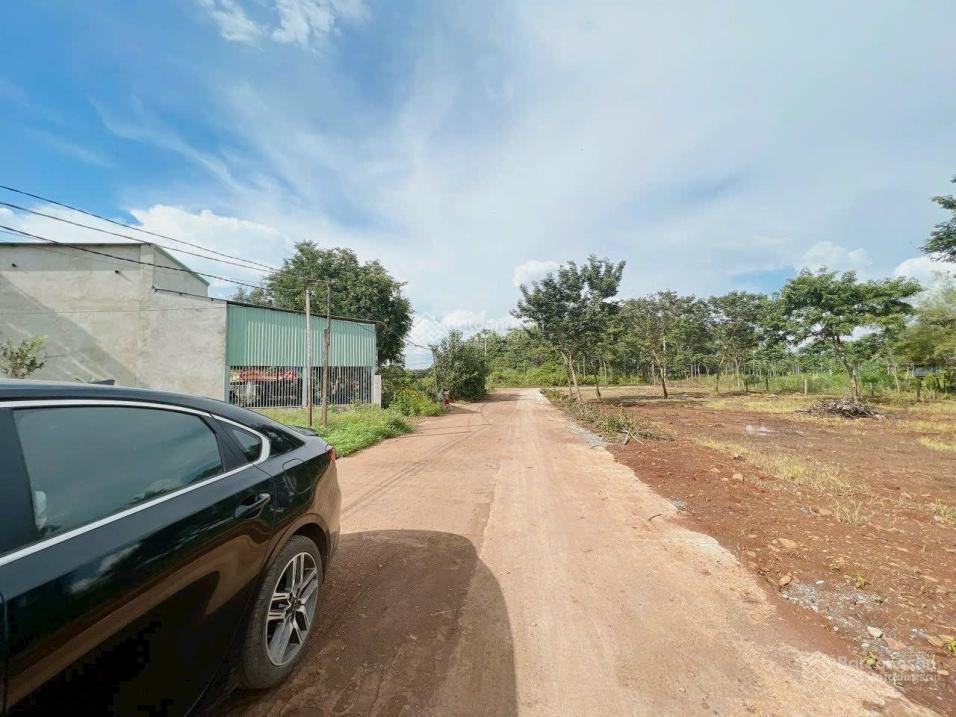 Sang nhượng đất tại mặt tiền đường điện biên phủ, xã tánh linh, tỉnh lâm đồng