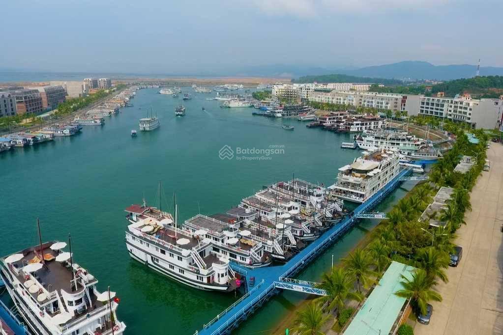 Bán lô liền kề hàng hiếm 120m2 tại tuần châu, nhìn hạ long xanh. đóng 30% vay lãi suất 0% 18 tháng